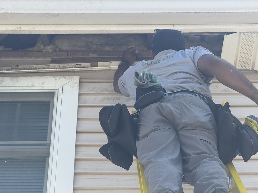 Laws of Nature technician repairing a soffit damaged by wildlife